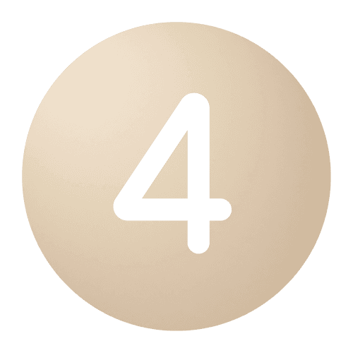 4 - The Bridge