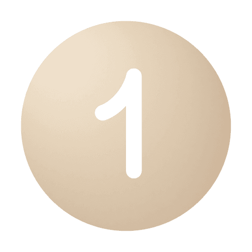 1 - The Bridge