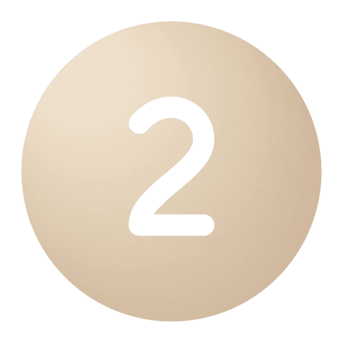 2 - The Bridge
