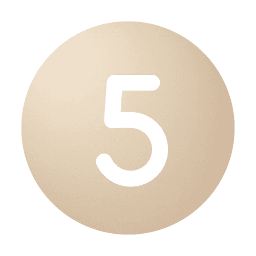 5 - The Bridge