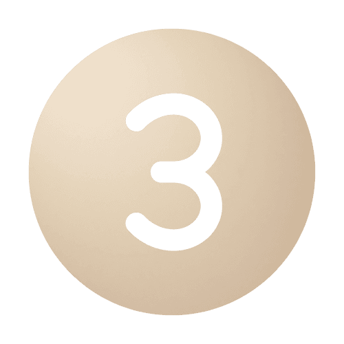3 - The Bridge